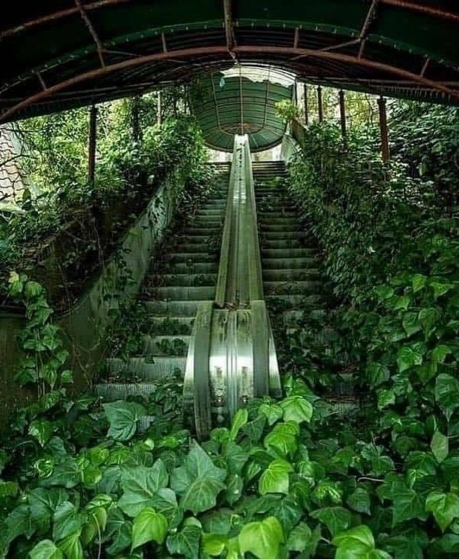 abandoned 2