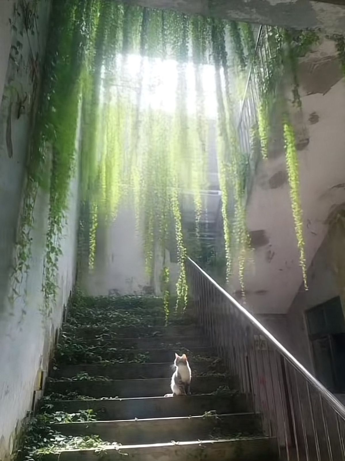 abandoned 3
