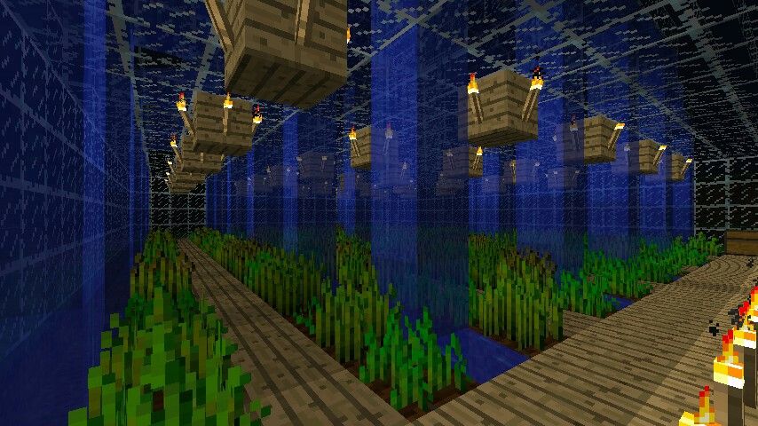 minecraft 2